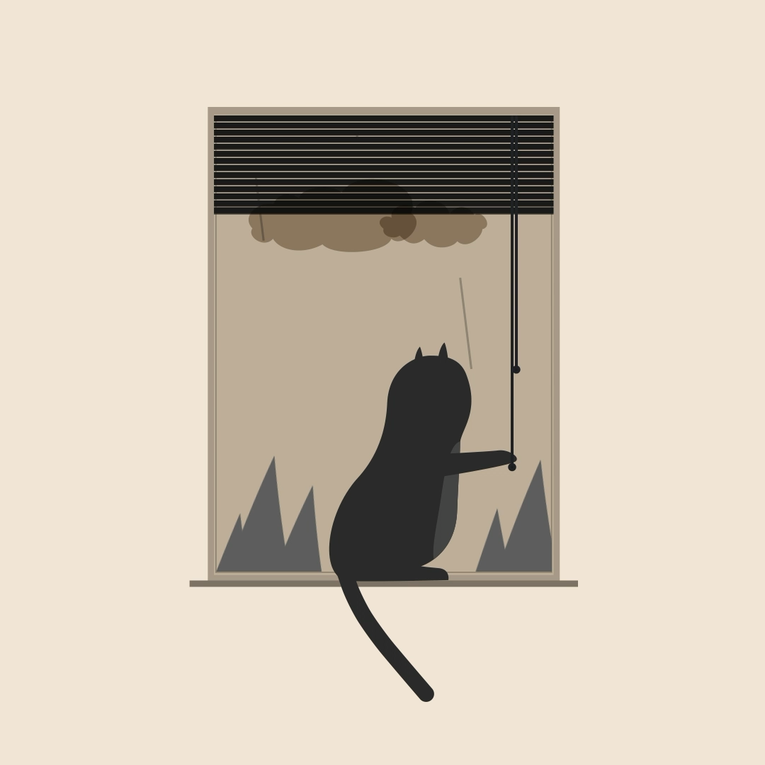 Gatto del Week End preview